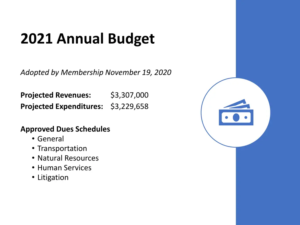 2021 annual budget