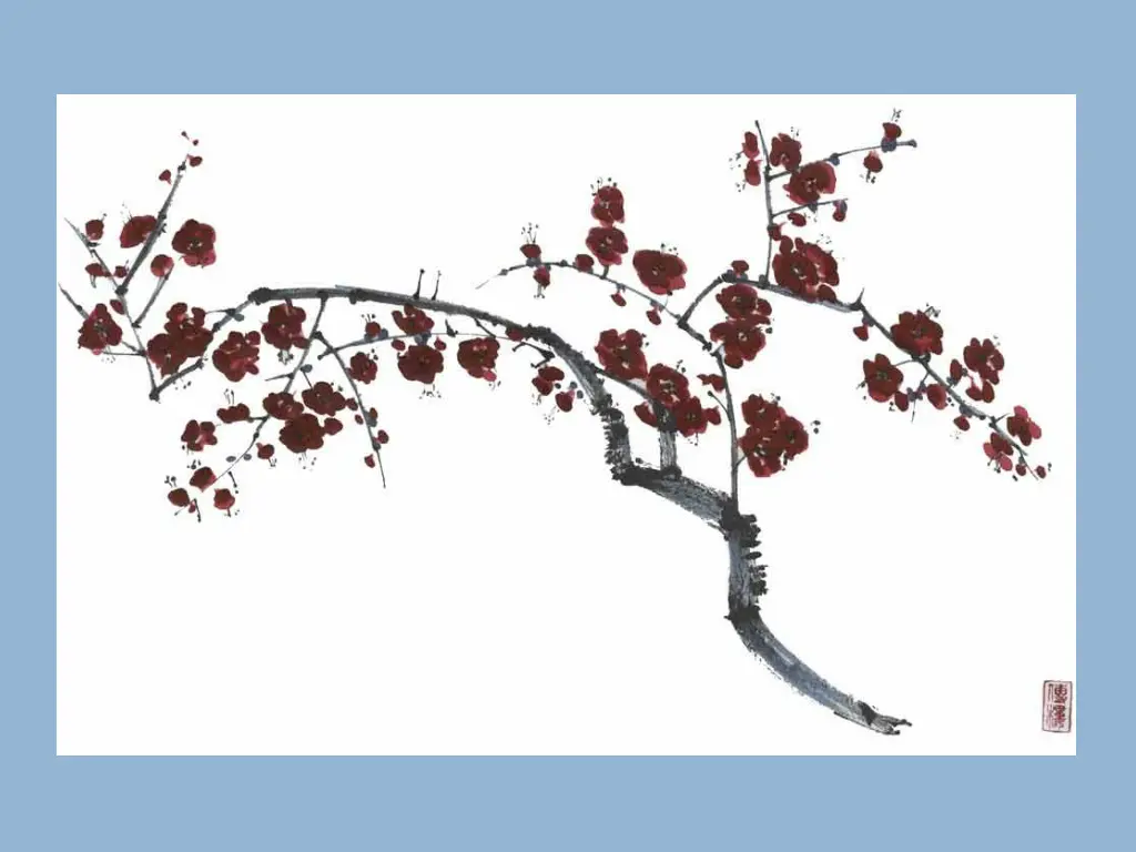 slide14