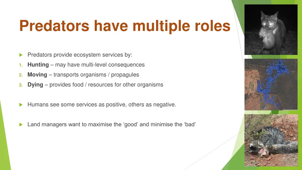 predators have multiple roles