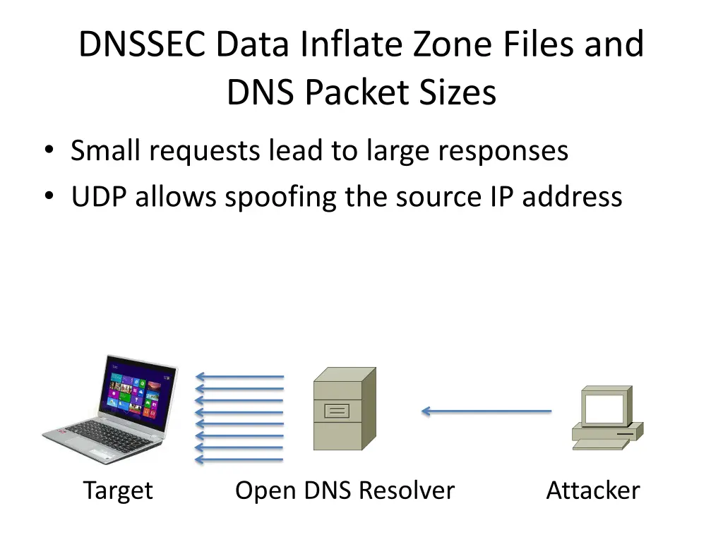dnssec data inflate zone files and dns packet