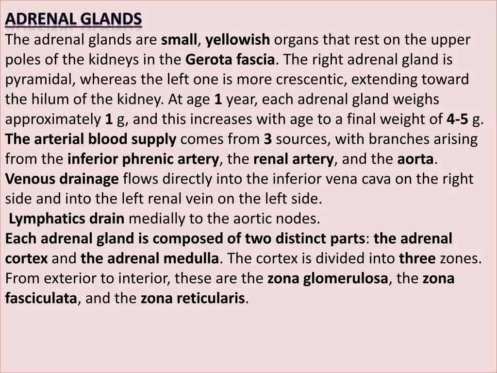 adrenal glands the adrenal glands are small