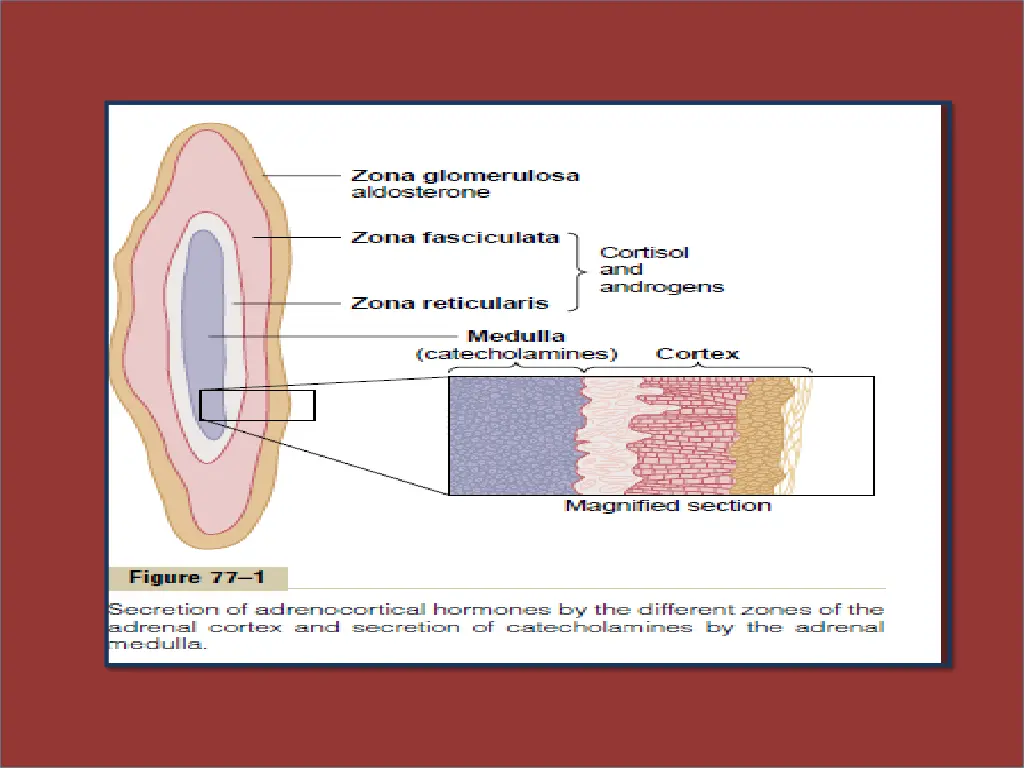 slide3