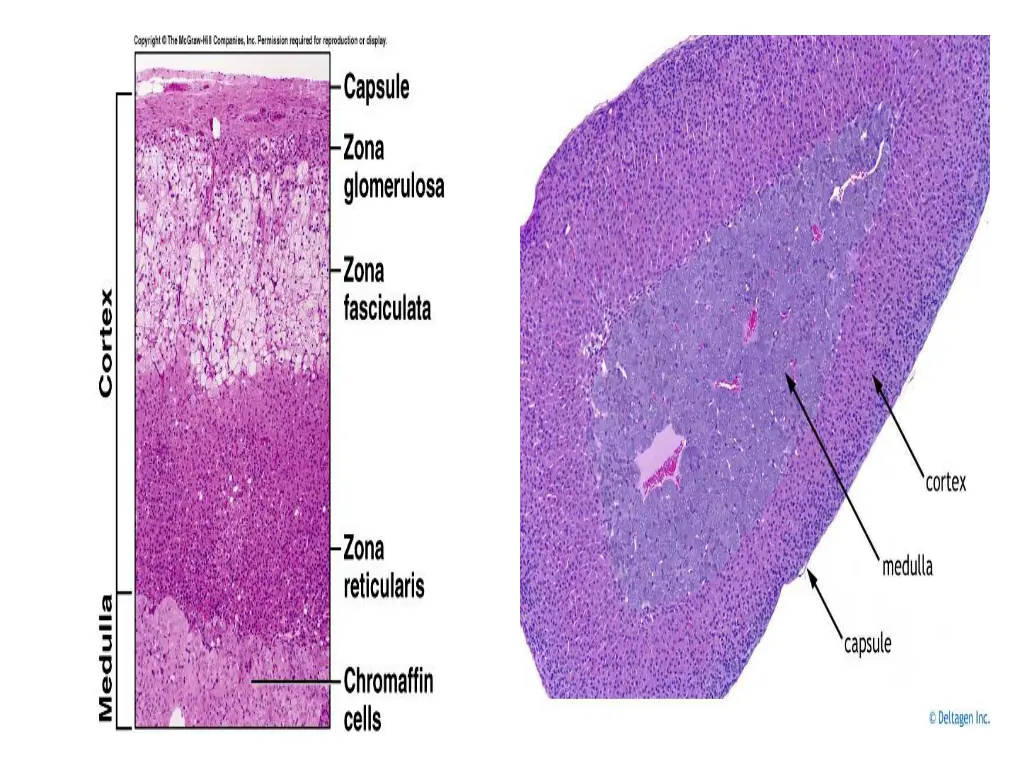 slide8