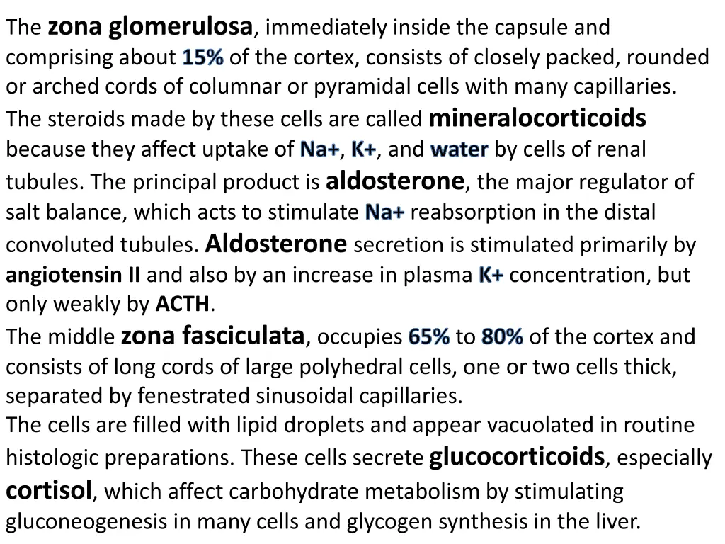 the zona glomerulosa immediately inside