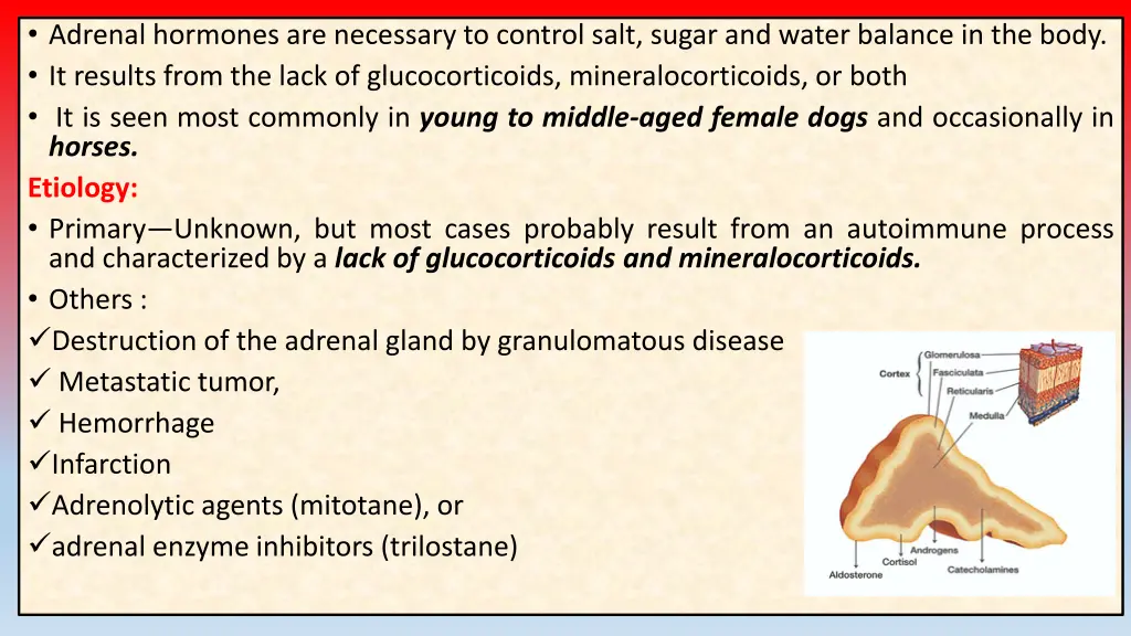 adrenal hormones are necessary to control salt