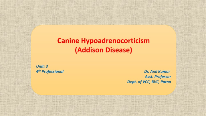 canine hypoadrenocorticism addison disease