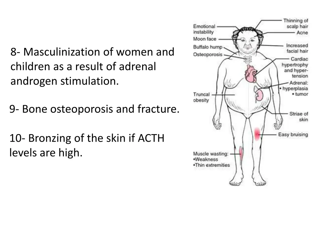 8 masculinization of women and children