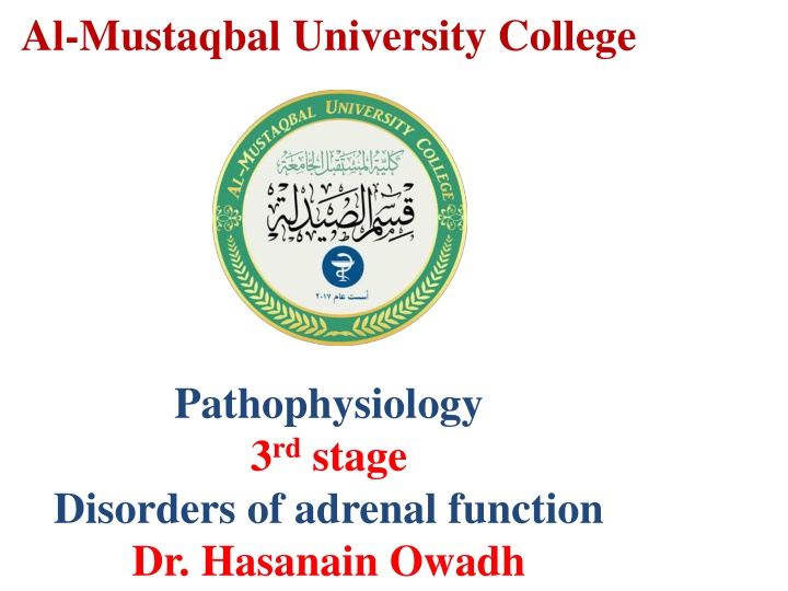 al mustaqbal university college