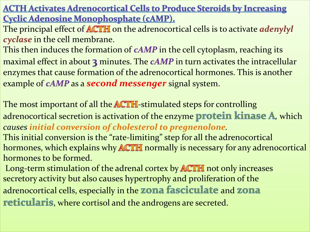 acth activates adrenocortical cells to produce