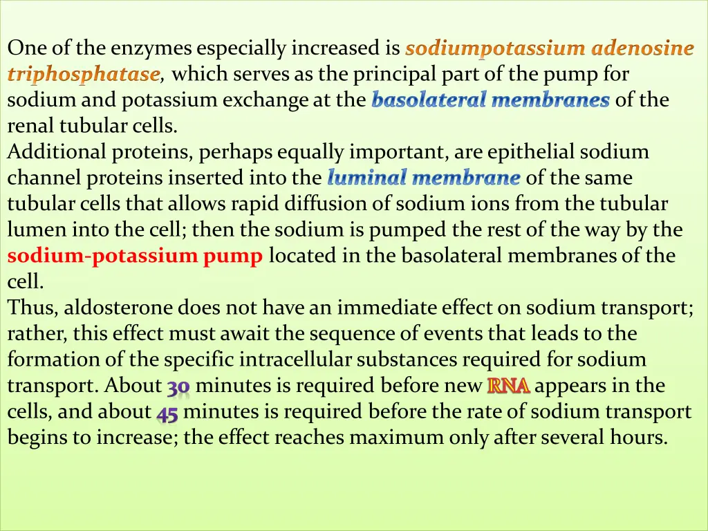 one of the enzymes especially increased
