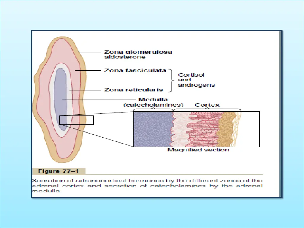 slide3