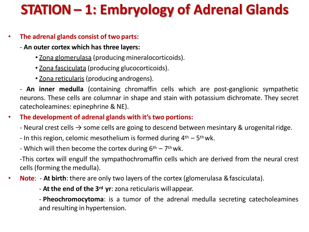 station 1 embryology of adrenal glands