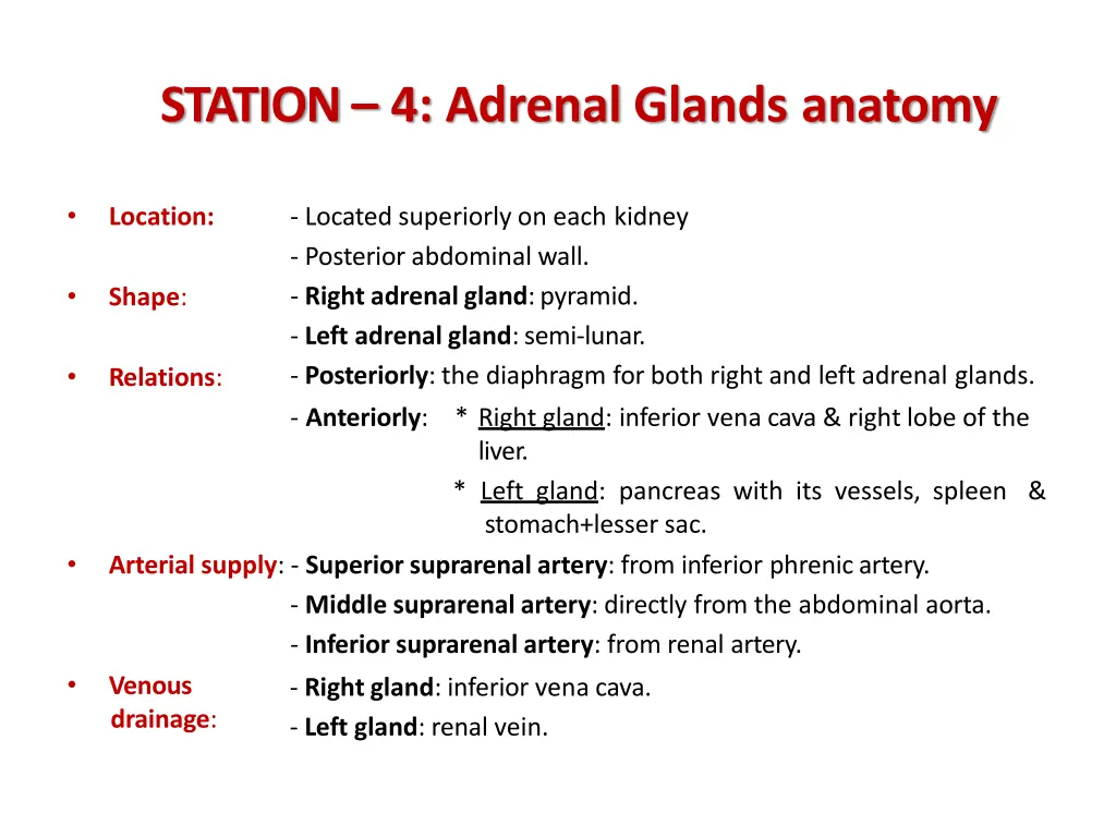 station 4 adrenal glands anatomy