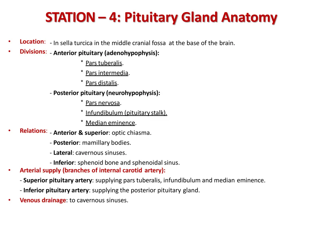 station 4 pituitary gland anatomy