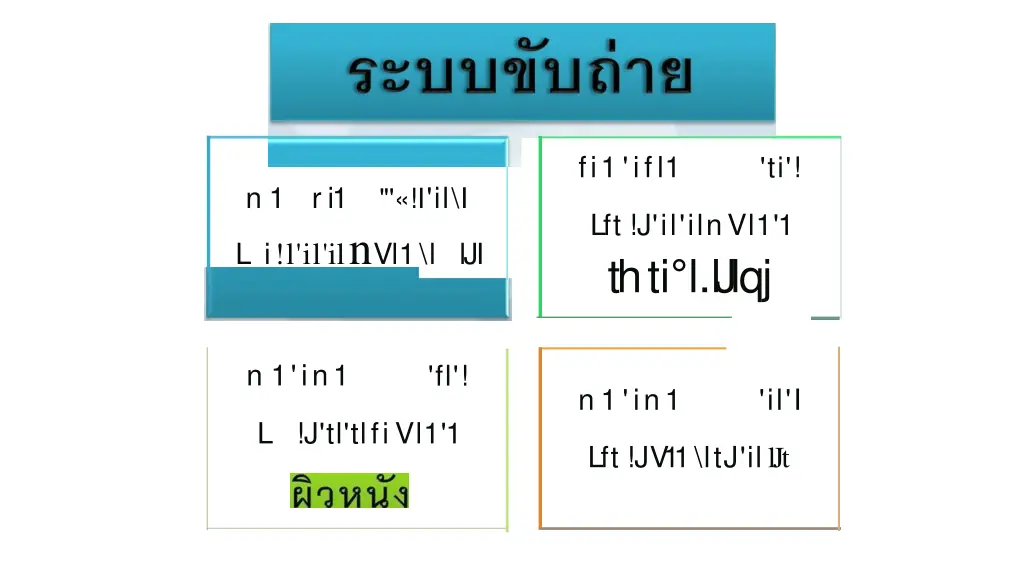 fi1 ifl1