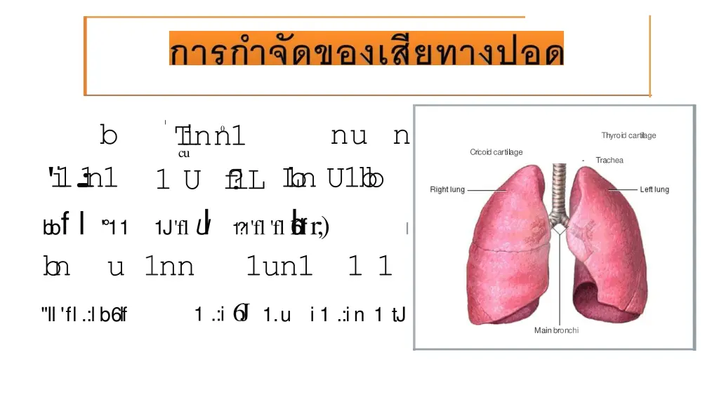 slide11