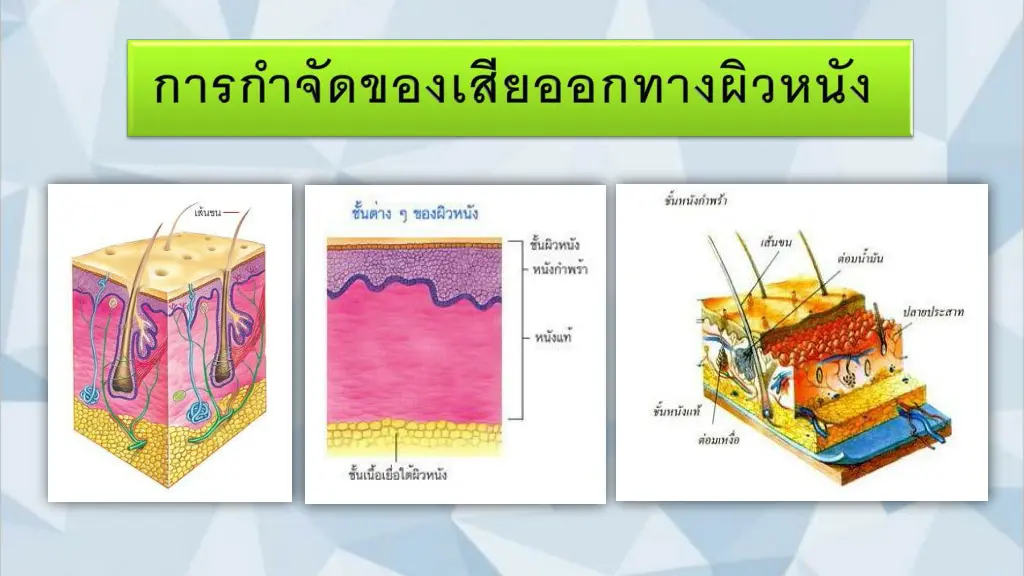 slide9