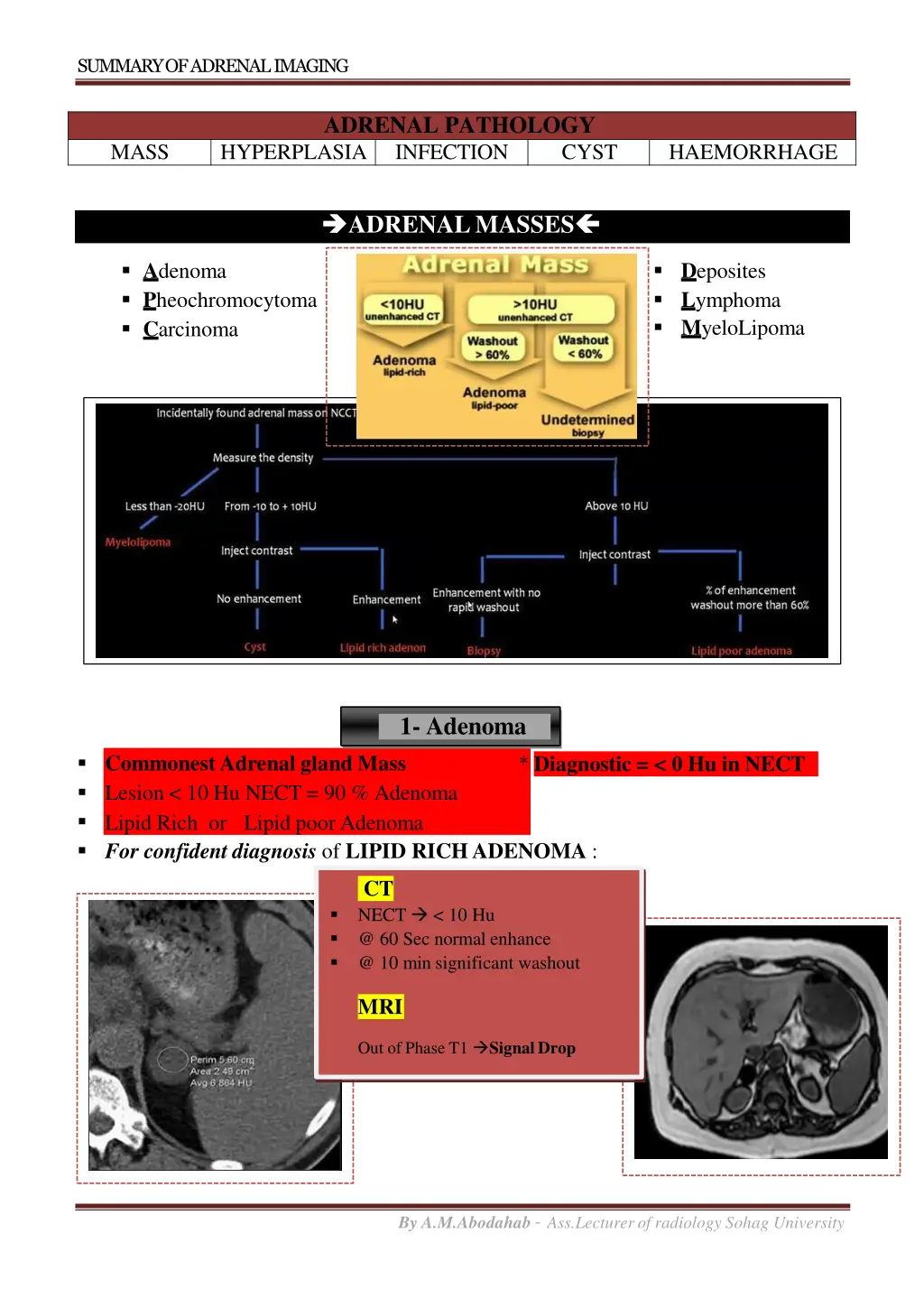 summary of adrenalimaging 1