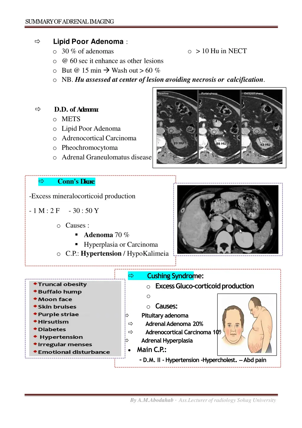 summary of adrenalimaging 3