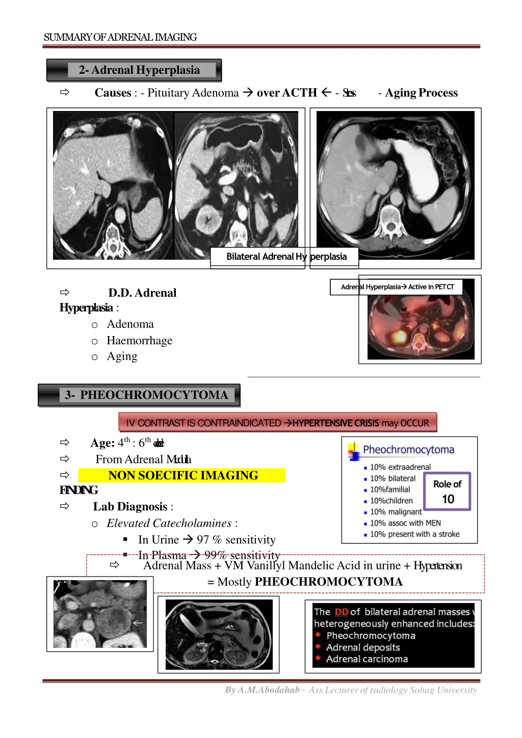 summary of adrenalimaging 4