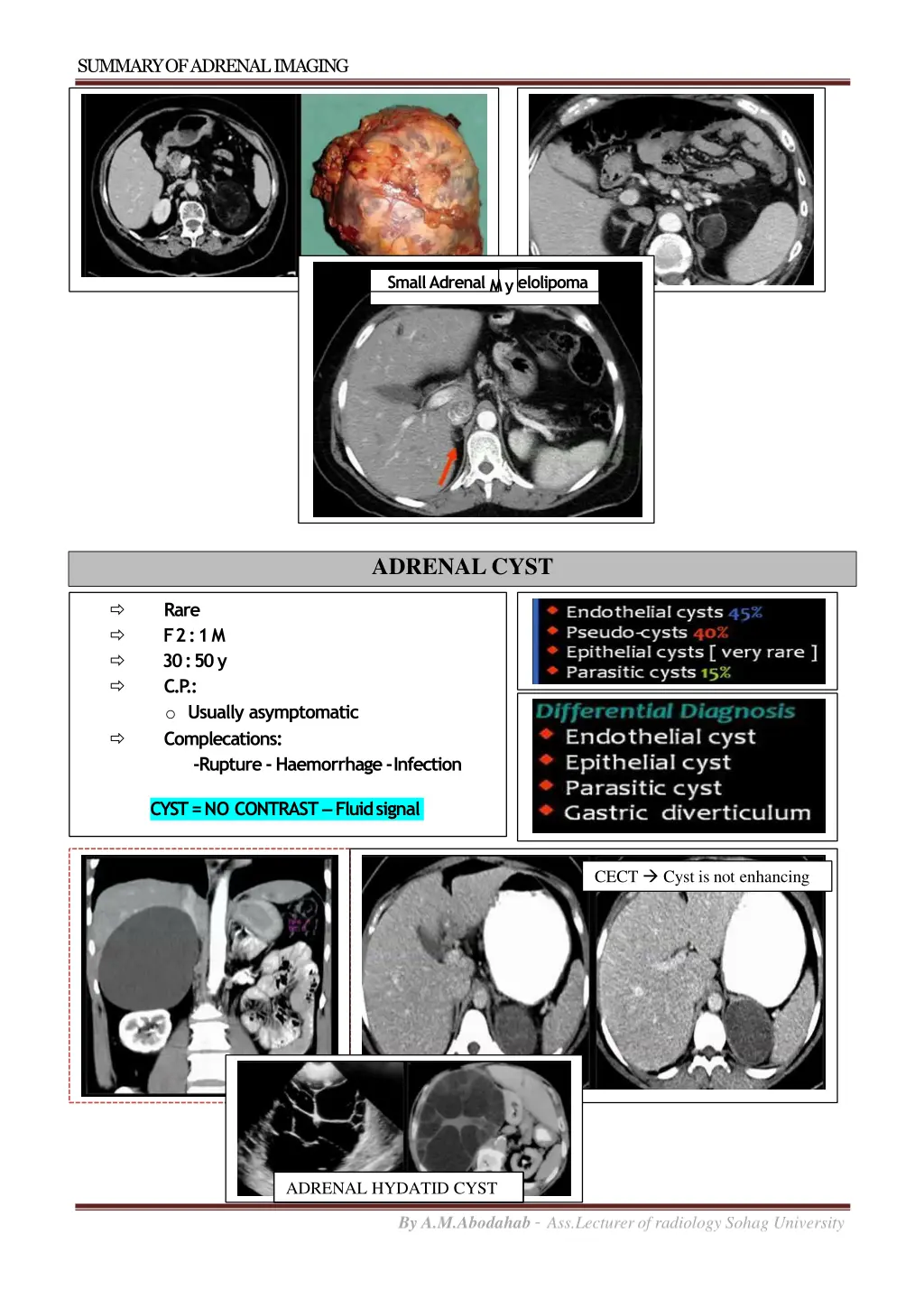 summary of adrenalimaging 6
