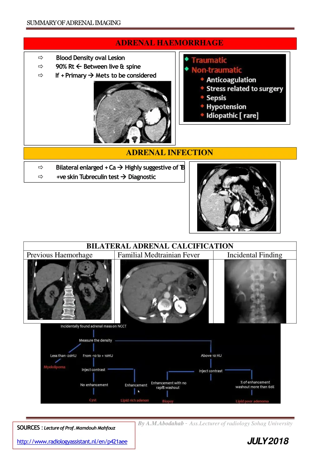 summary of adrenalimaging 7