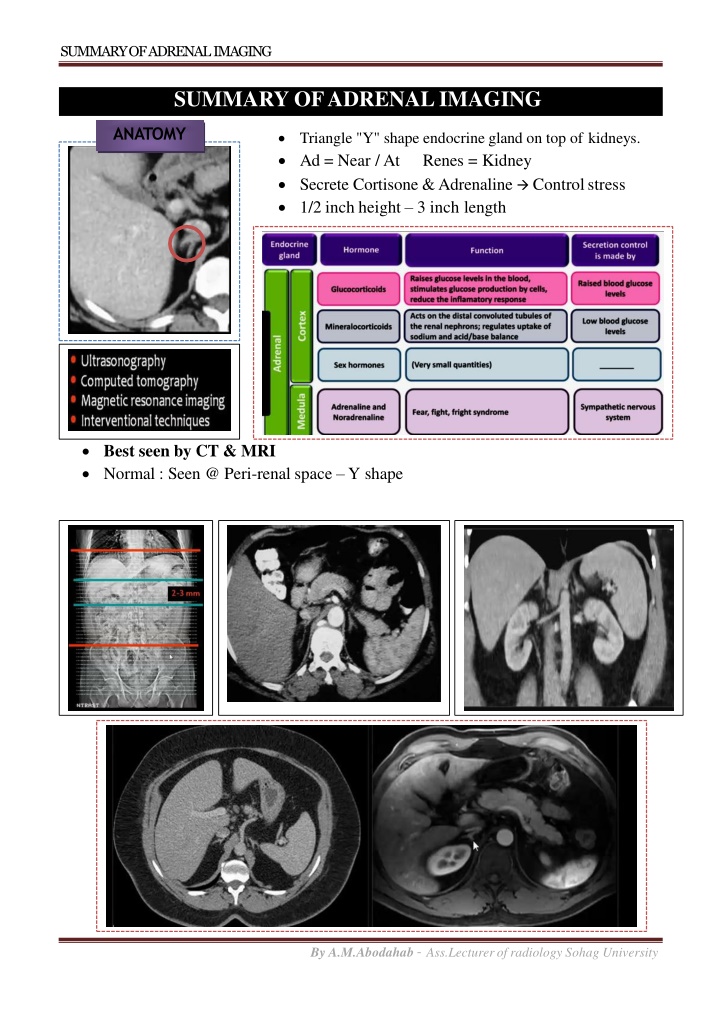 summary of adrenalimaging