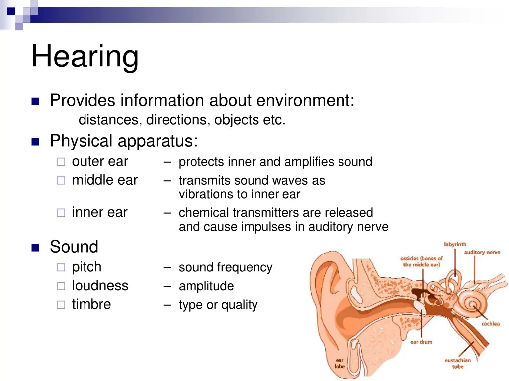 hearing
