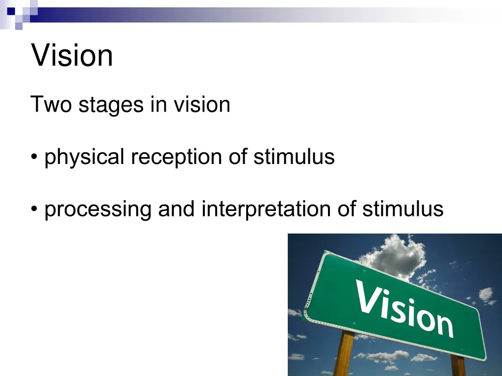 vision