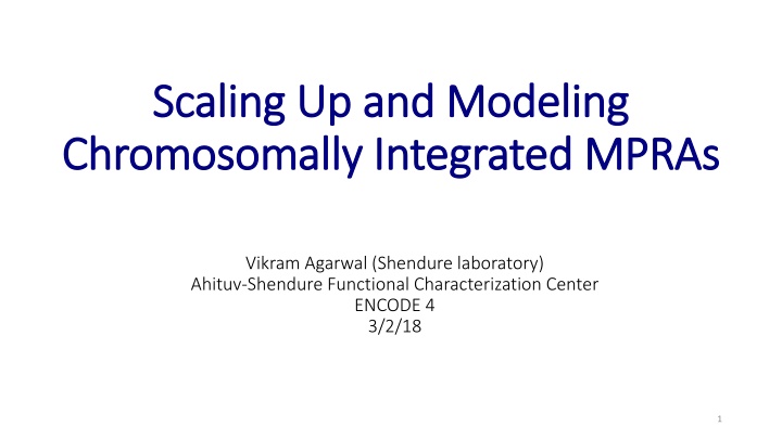 scaling up and modeling scaling up and modeling