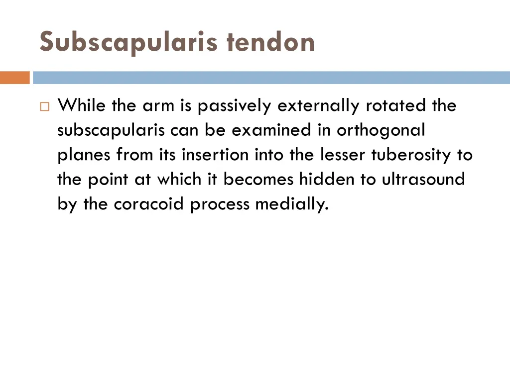 subscapularis tendon