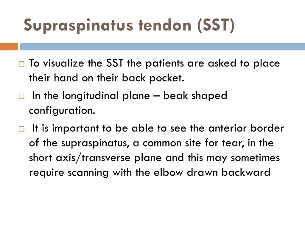 supraspinatus tendon sst