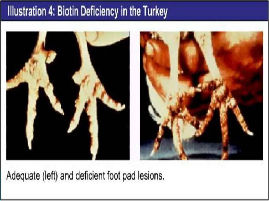 slide10