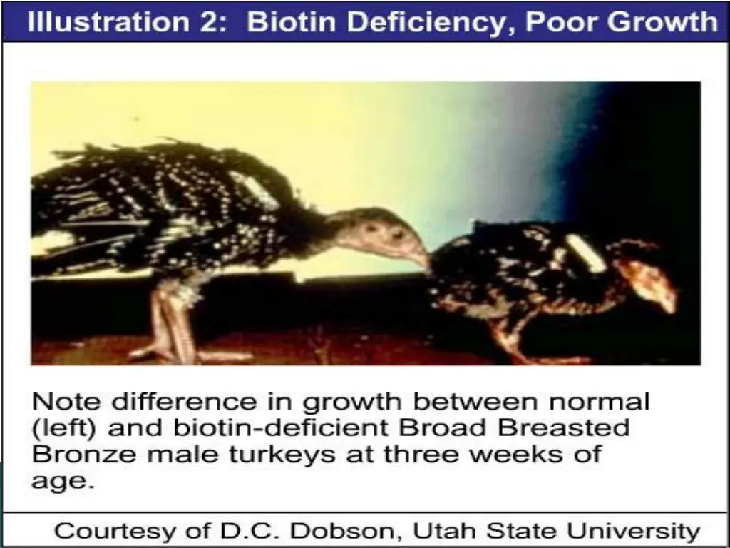 slide5