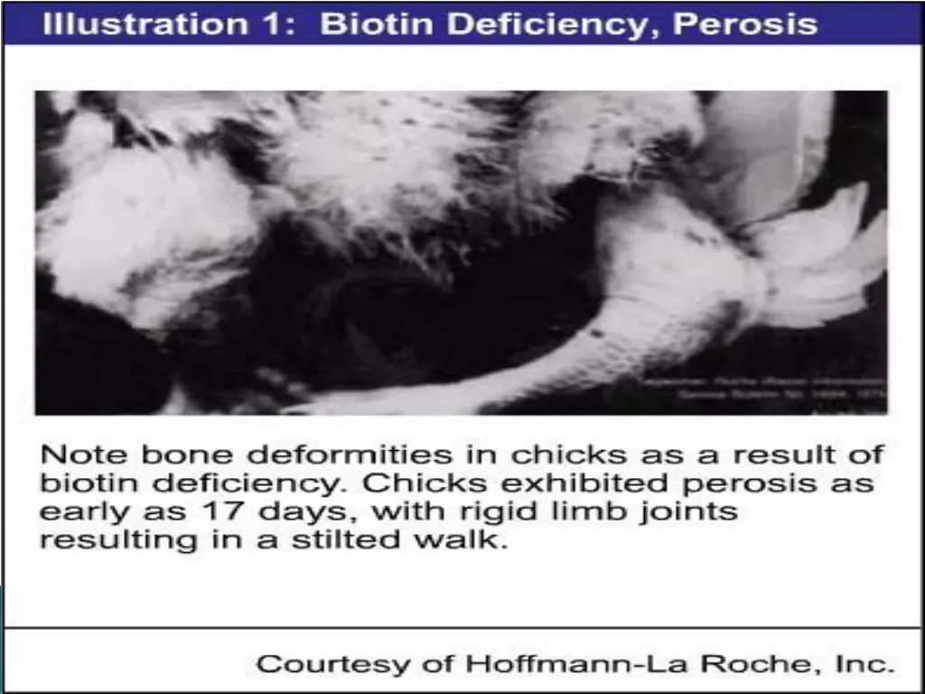 slide6