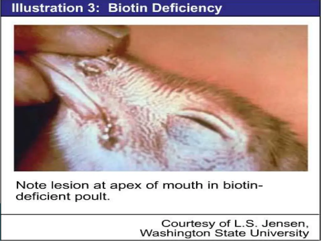 slide9