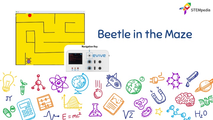 beetle in the maze