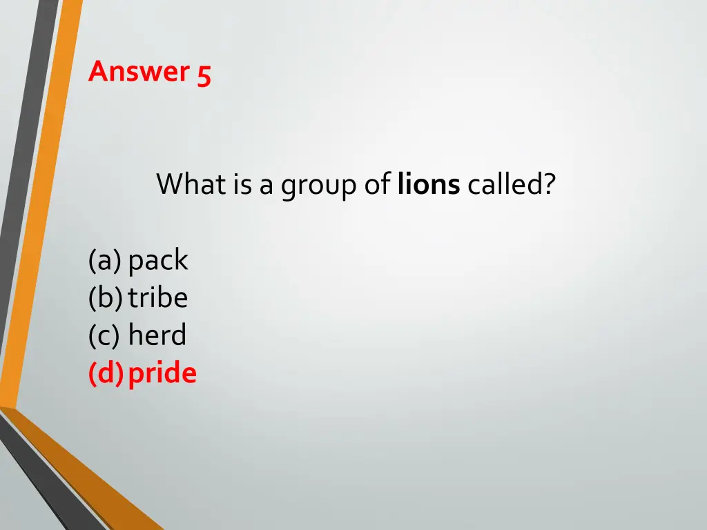 answer 5