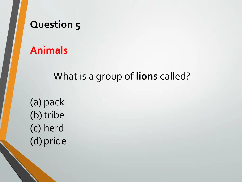 question 5