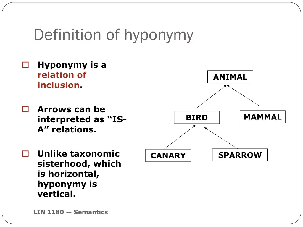 definition of hyponymy