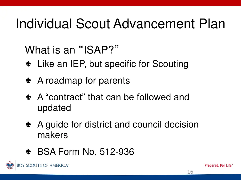 individual scout advancement plan