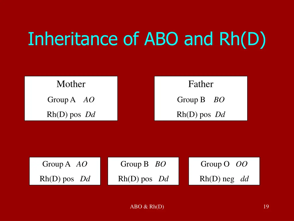 inheritance of abo and rh d