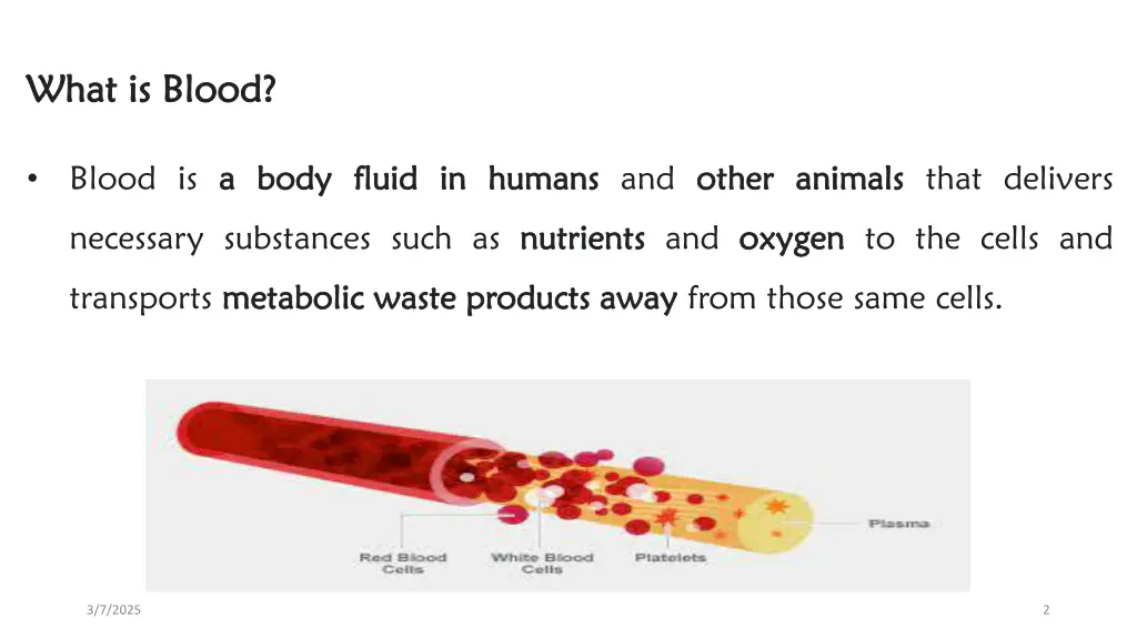 what what is is blood