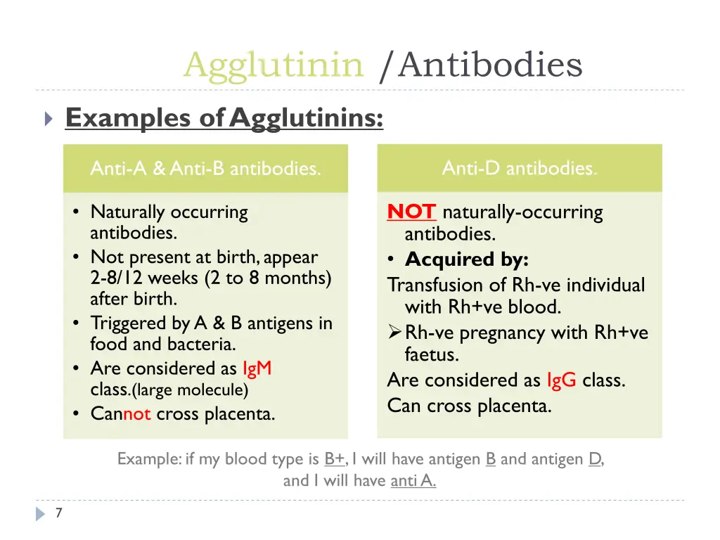 agglutinin antibodies