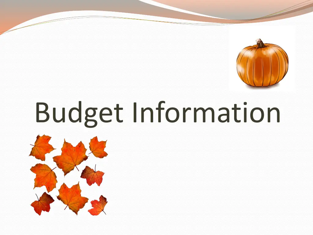 budget information