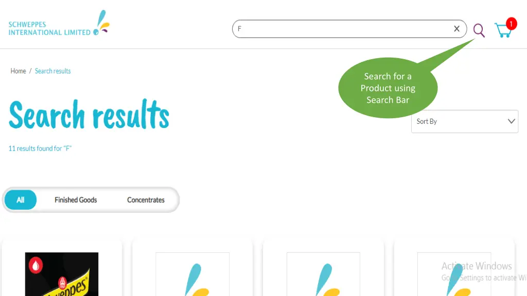 search for a product using search bar