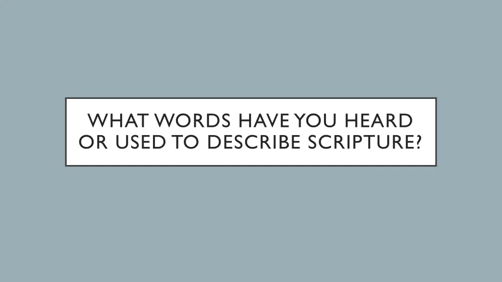 what words have you heard or used to describe