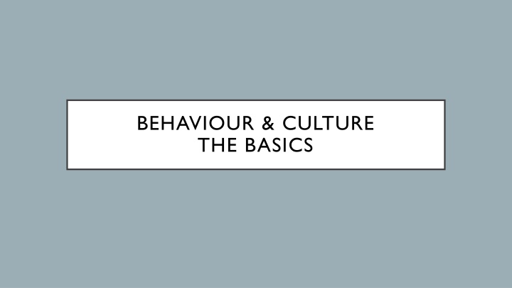 behaviour culture the basics