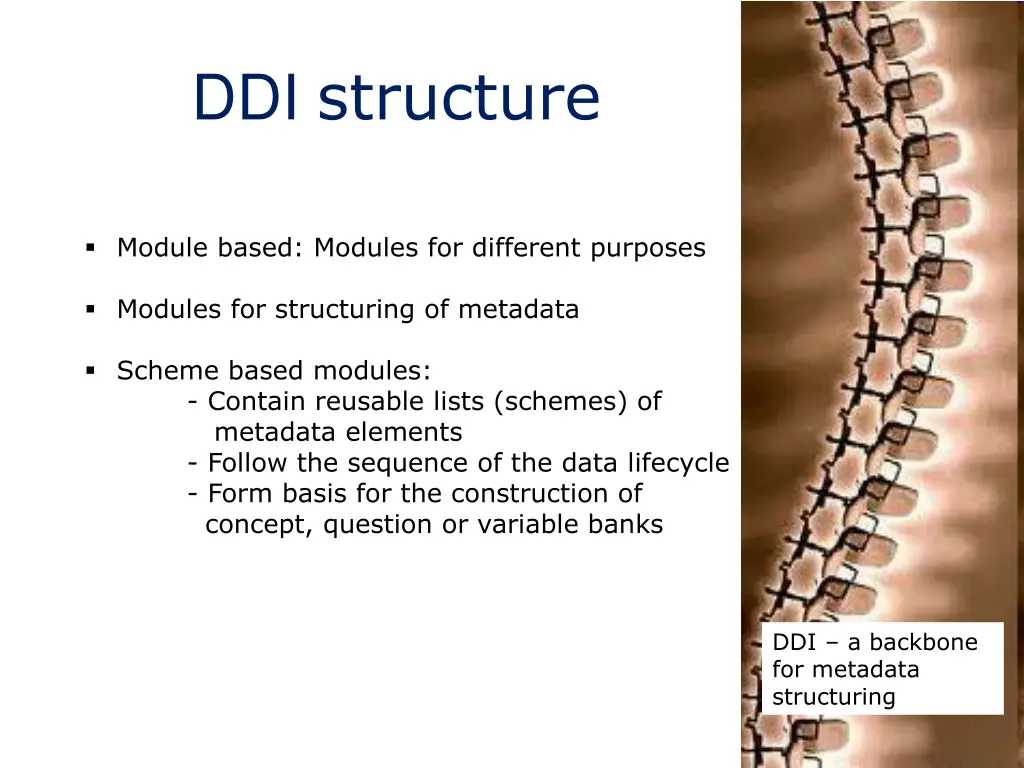 ddi structure