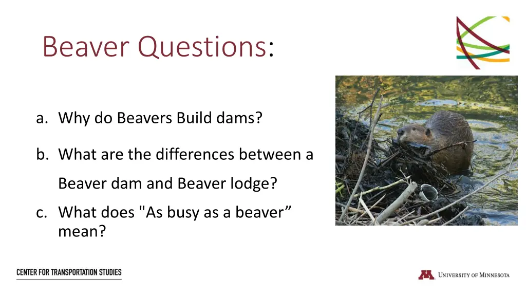 beaver questions